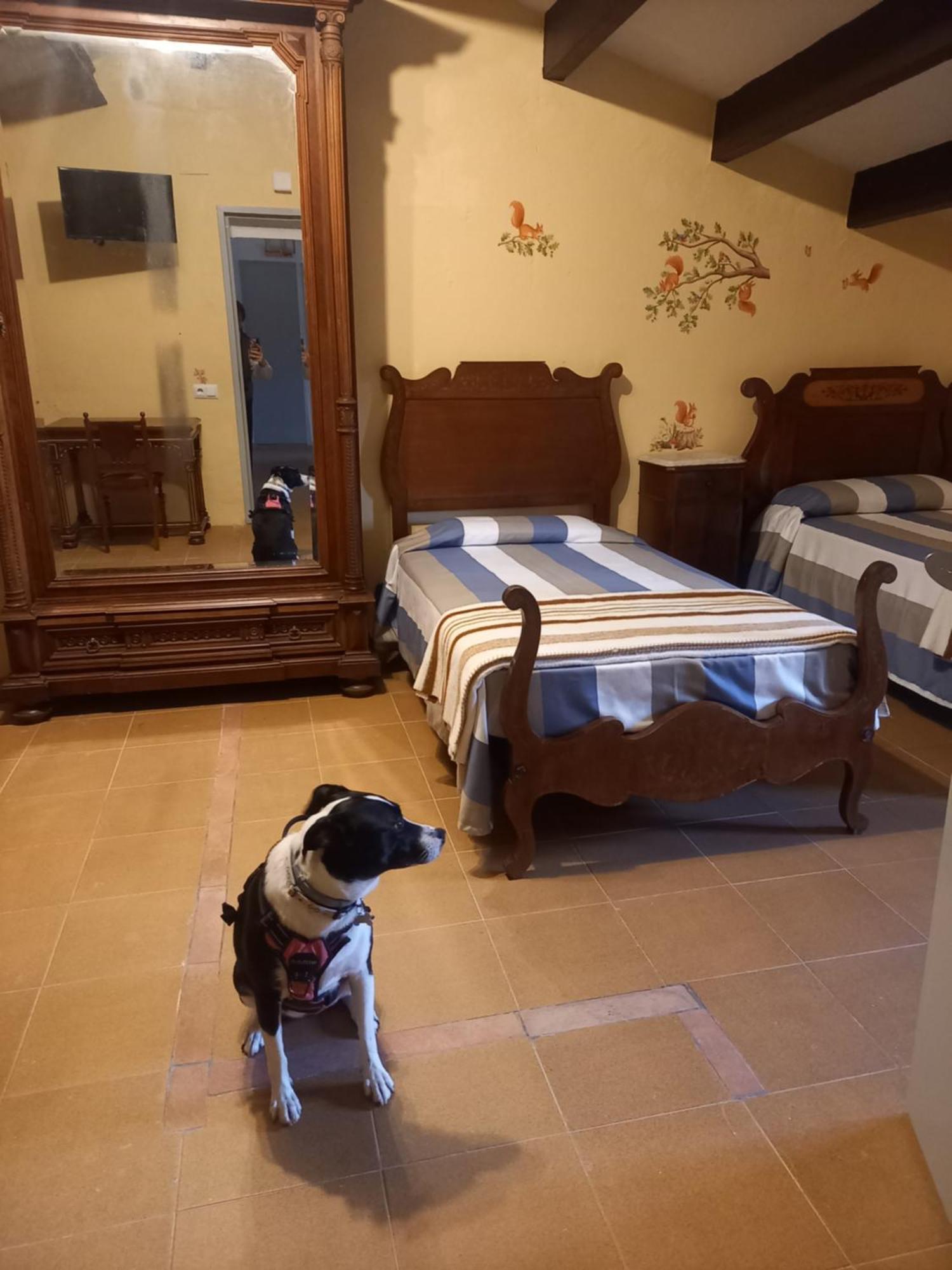 Hostal Rural Mas Blanc San Martín de Centellas المظهر الخارجي الصورة