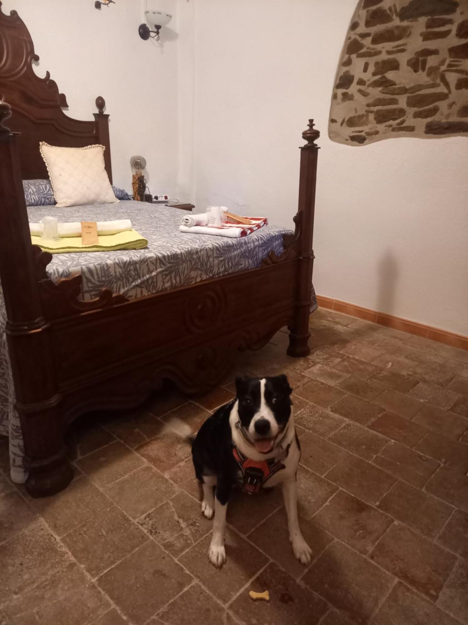 Hostal Rural Mas Blanc San Martín de Centellas المظهر الخارجي الصورة